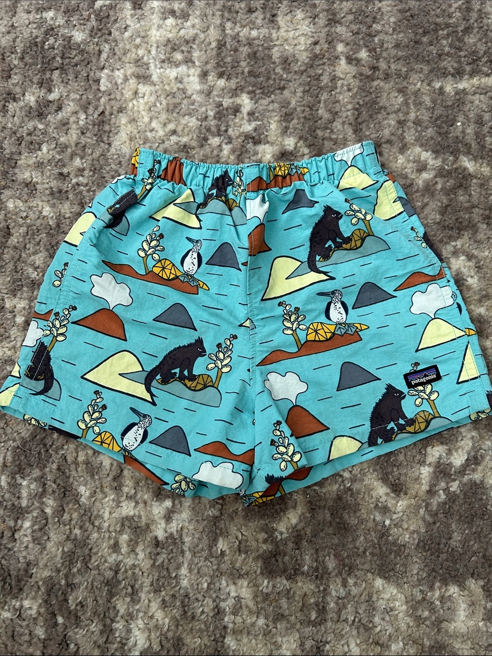 Patagonia Kid’s Baggies Lizard & Blue-Footed Booby Print Swim Shorts